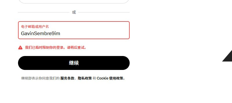 问题图 4：更换浏览器后再次尝试